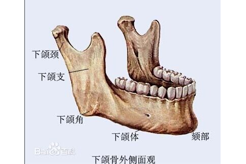 下颌角整形术前必读：