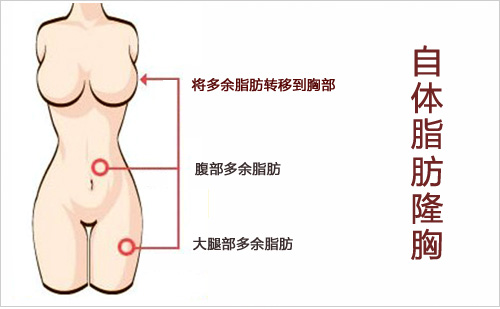 丰胸秘籍有哪些