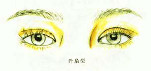 四种双眼皮类型（图解）