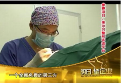 美尔贝找准求美者痛点 夺取《明日星企业》比较好的