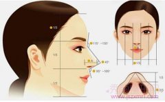 <b>王军隆鼻怎么样？</b>