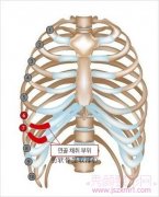 <b>【小科普】关于肋软骨隆鼻你所不知道的~~~</b>