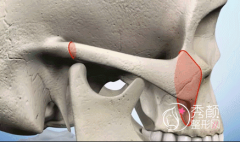 上海九院和华美颧骨内推 下颌角磨骨 哪个好