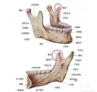 颧骨内推风险大吗|后遗症|颧骨内推会下垂吗