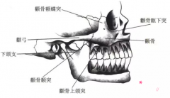 成都做颧骨内推哪里好