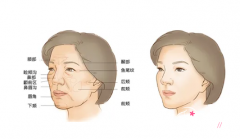 <b>自体脂肪填充和可以一起做吗？有没有什么影响？</b>