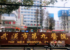 <b>武汉市第九医院整形价格表一览</b>