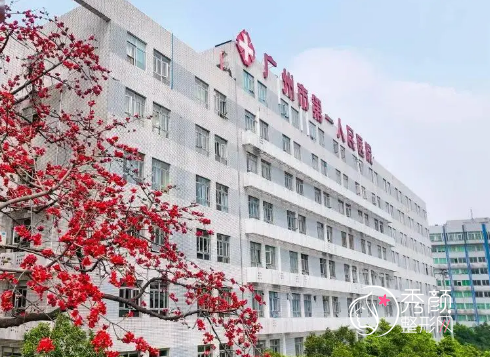 2024广州第一人民医院整形科价格表一览+科室医生介绍