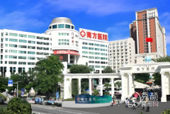 2025南方医院整形科价目表一览，包含隆鼻|吸脂|植发|隆胸等价格表