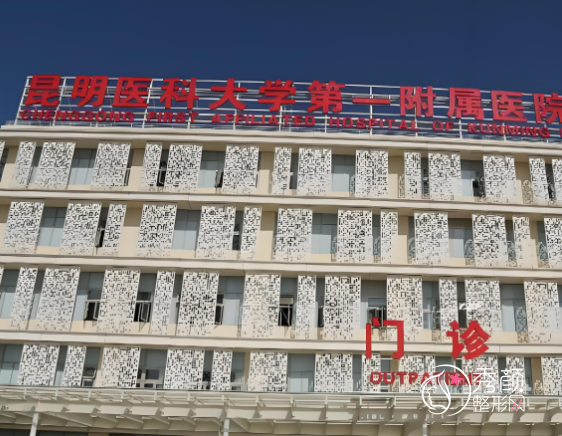 昆明医美机构前五名，上榜医院涉及公立VS私立，附热门项目&实力专家