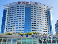 国内整容手术好的医院有