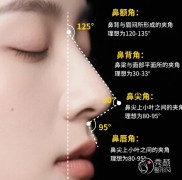 上海隆鼻医生排名